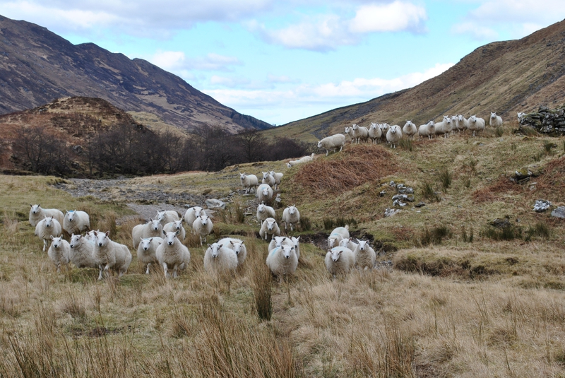 Bild zum Geistlichen Word