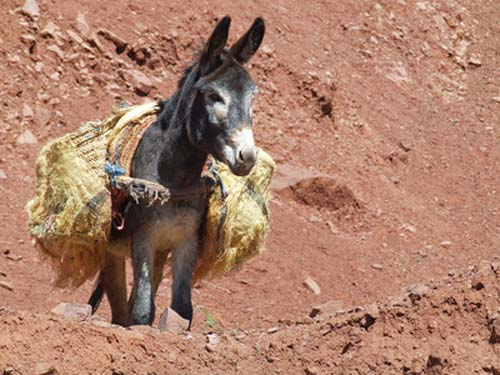 Bild zum Geistlichen Word