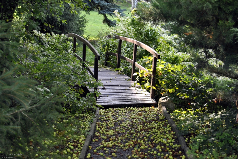 Bild zum Geistlichen Word