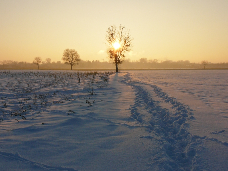 Bild zum Geistlichen Word