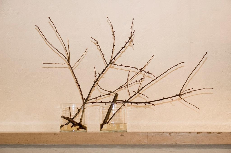 Bild zum Geistlichen Word