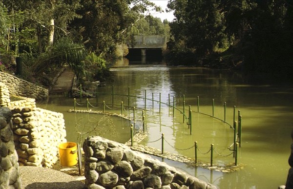 Bild zum Geistlichen Word