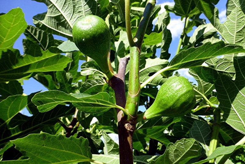 Bild zum Geistlichen Word