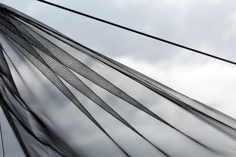 Bild zum Geistlichen Word