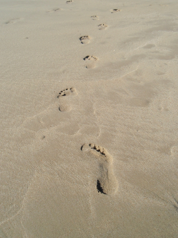 Bild zum Geistlichen Word