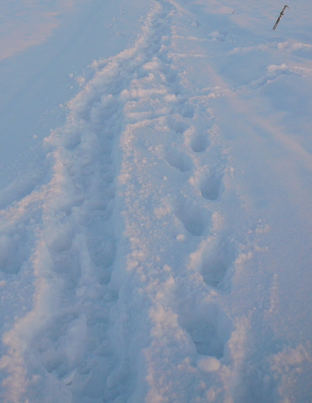 Bild zum Geistlichen Word