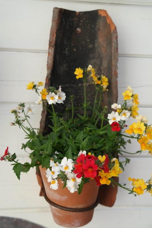 Bild zum Geistlichen Word