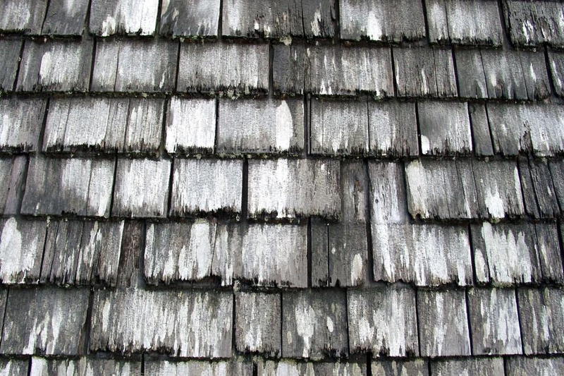 Bild zum Geistlichen Word