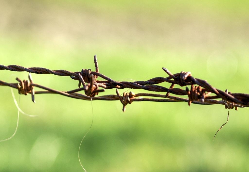 Bild zum Geistlichen Word