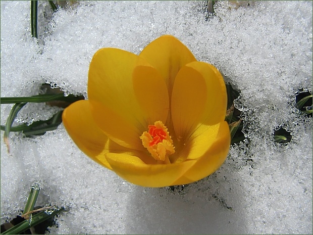 Bild zum Geistlichen Word