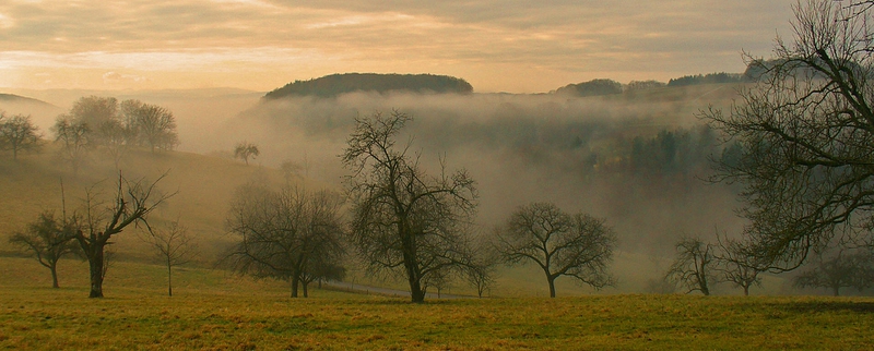 Bild zum Geistlichen Word