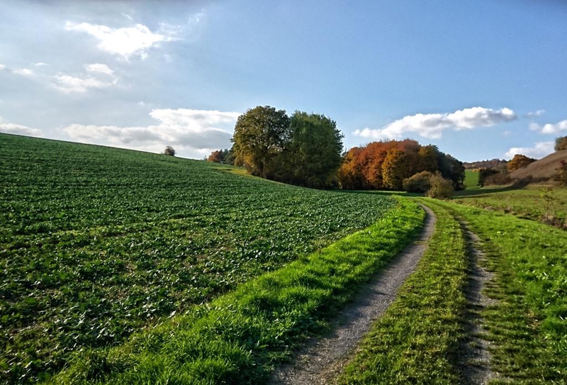 Bild zum Geistlichen Word